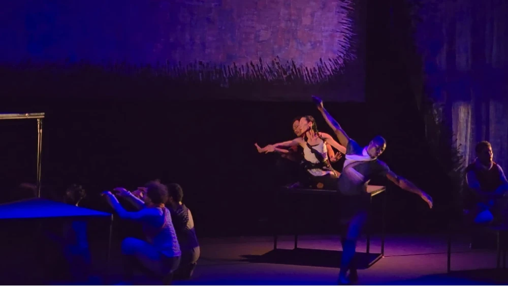 ‘Conference of Birds’ reimagines mystic journey in Pakistan’s migrant metropolis Karachi